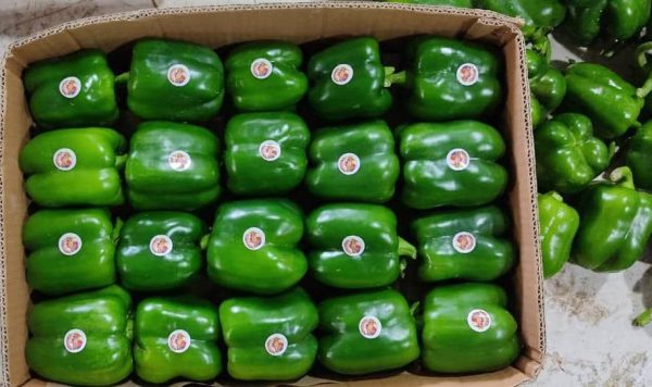bell pepper