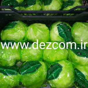 آیس برگ دزفول