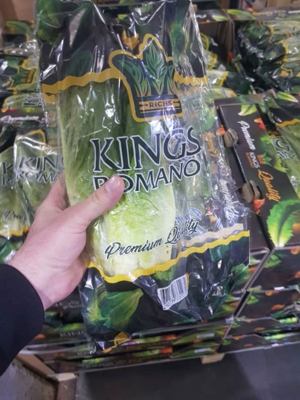 Fresh Lettuce ROMANO - Image 5