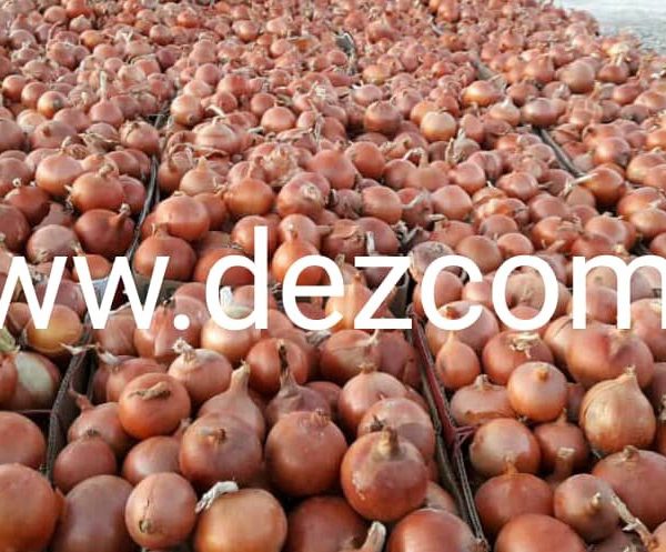 piaz22